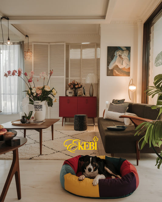 ⋆˚✿˖°CLASSIC SUBSCRIPTION⋆.˚