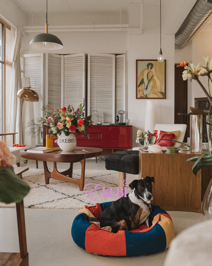 ⋆˚✿˖°UNTAMED SUBSCRIPTION⋆.˚