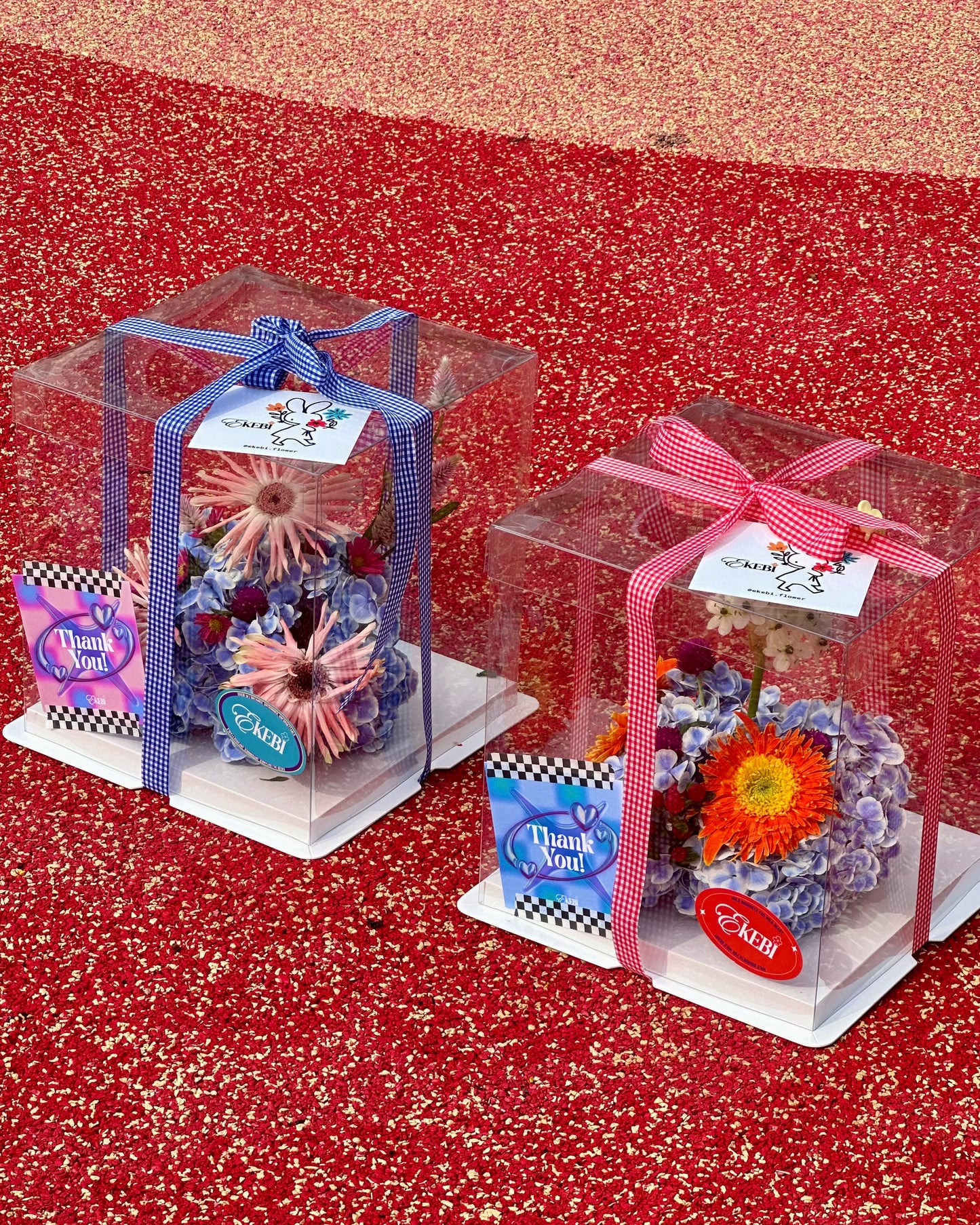 ⋆˚✧ BDAY EKEBI𖧷 愛野蛋糕