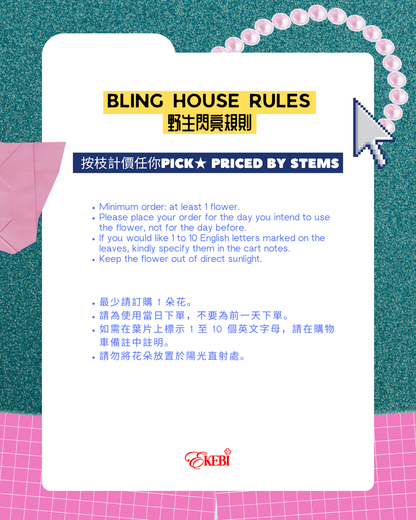 ⋆˚𝜗𝜚˚BLING BLING EKEBI 𖧷閃爆派對