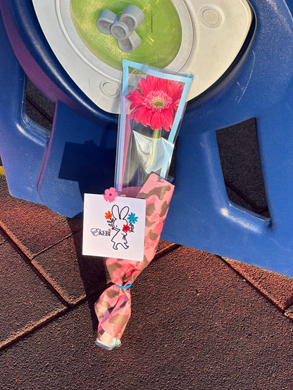 ⋆˚✿˖°SOLO EKEBI⋆.˚簡約不簡單