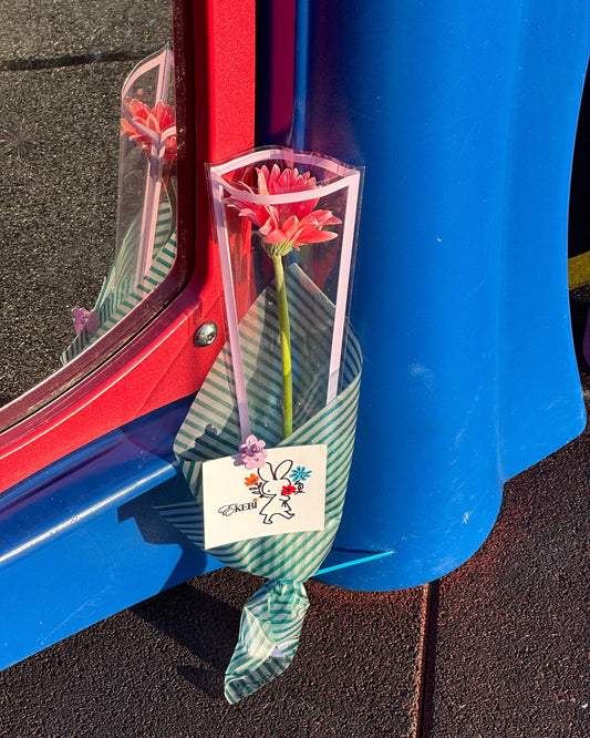 ⋆˚✿˖°SOLO EKEBI⋆.˚簡約不簡單