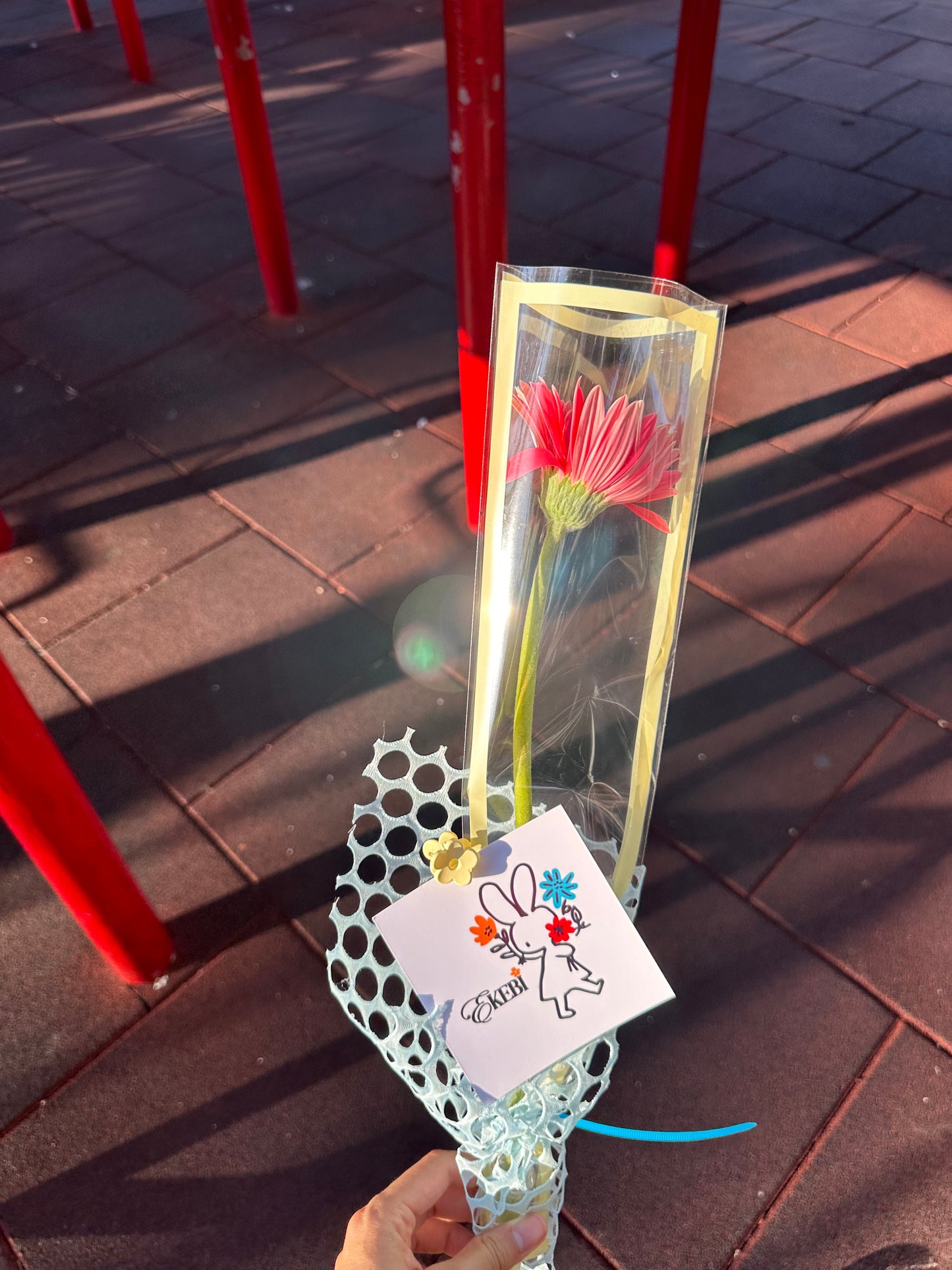 ⋆˚✿˖°SOLO EKEBI⋆.˚簡約不簡單