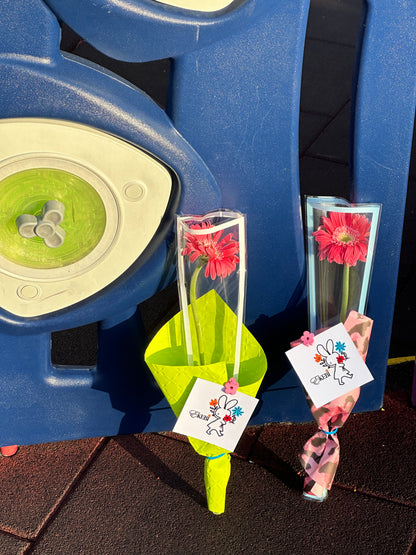 ⋆˚✿˖°SOLO EKEBI⋆.˚簡約不簡單