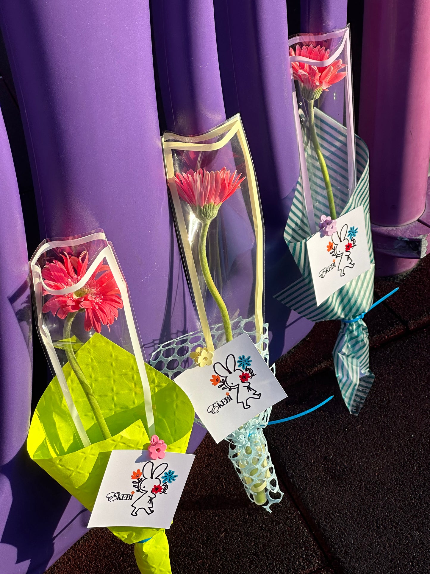 ⋆˚✿˖°SOLO EKEBI⋆.˚簡約不簡單